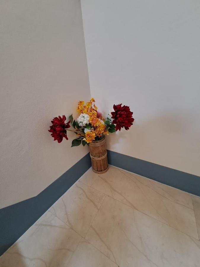 Bed and Breakfast Sobe Mamalu Valun Zewnętrze zdjęcie